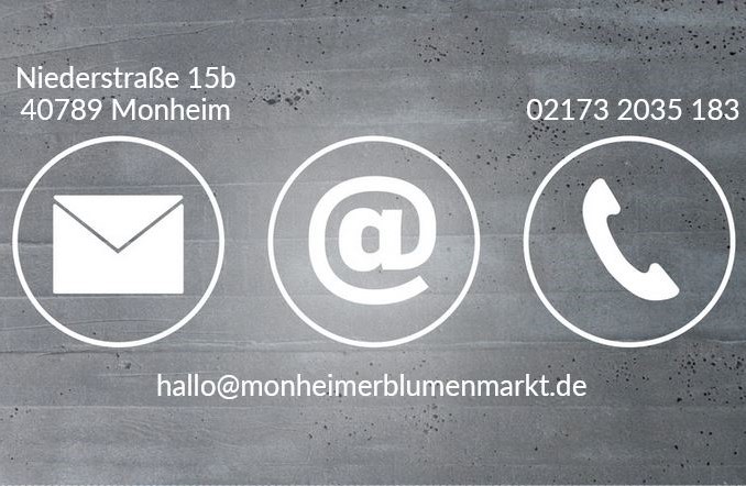 Arbeiten im Monheimer Blumenmarkt